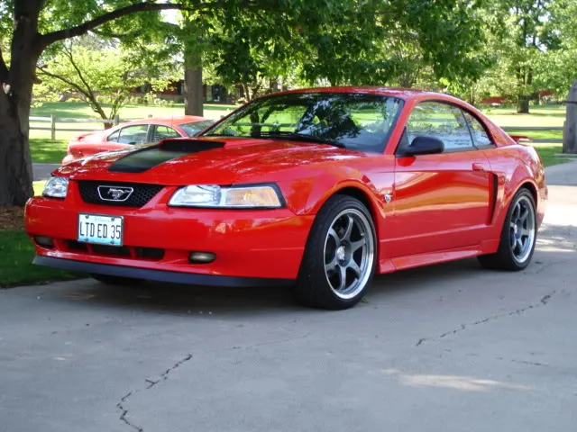Mustangmay001.webp