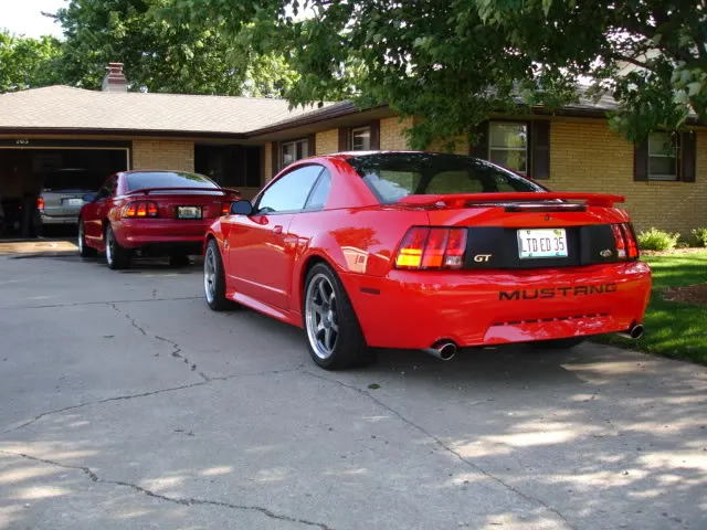 Mustangmay003.webp