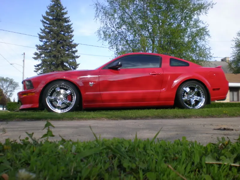 MustangMay2011018.webp