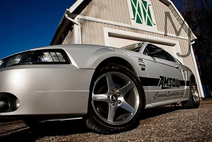mustangmitch.webp