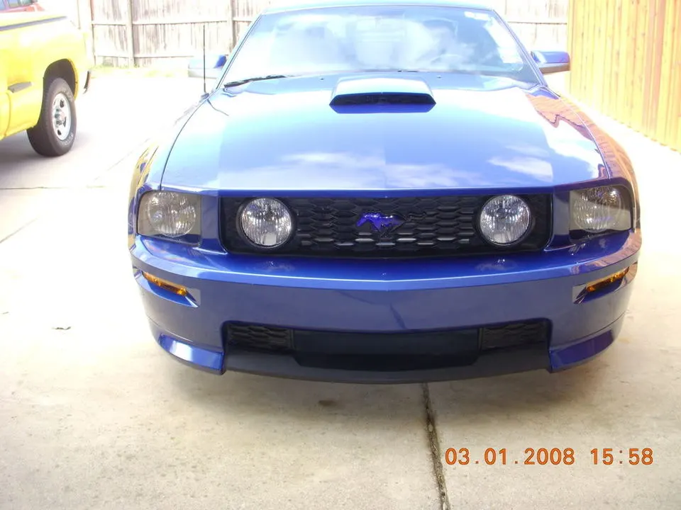 Mustangmodpics007.webp