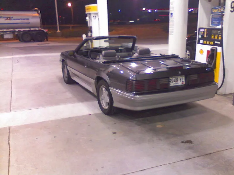 mustangnew.webp