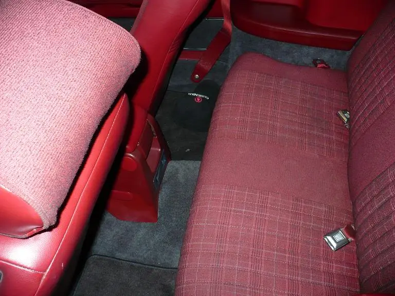 mustangnewcarpet2.webp