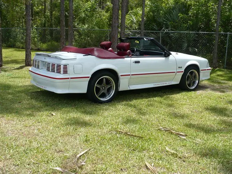 Mustangnewest.webp