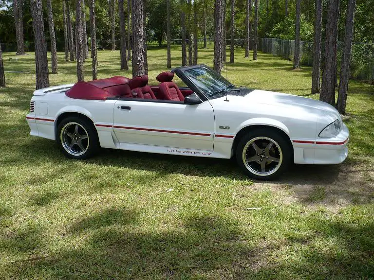 Mustangnewest2.webp
