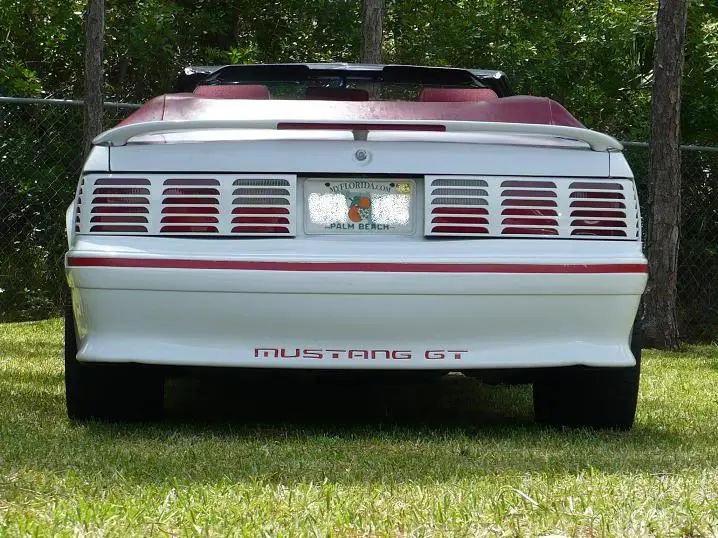 Mustangnewest3.webp