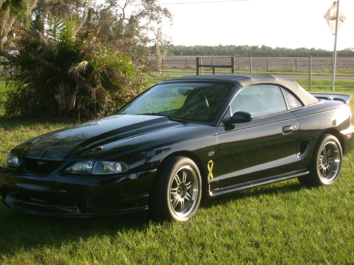 mustangnice.png
