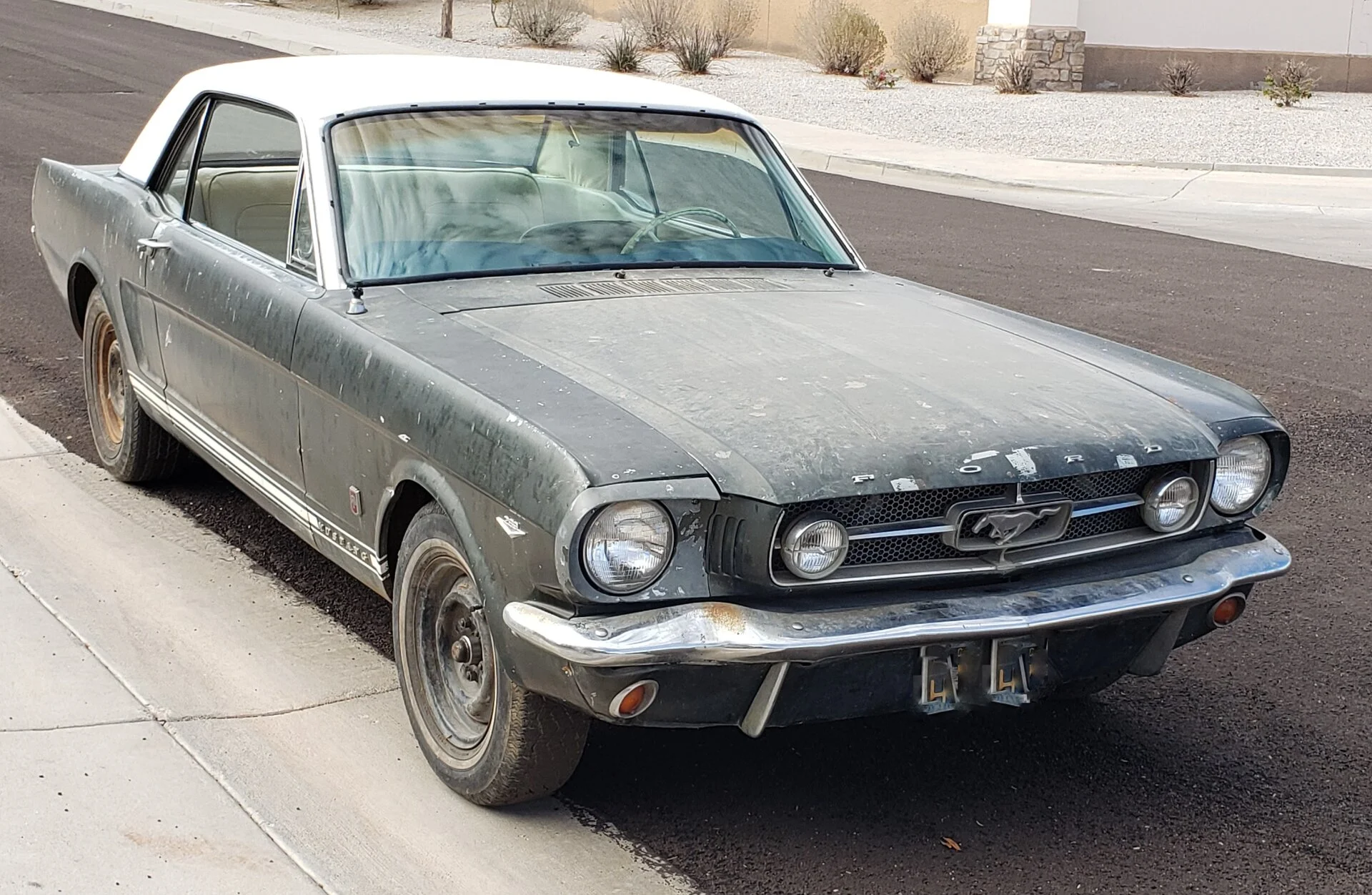 mustangonstreet.webp