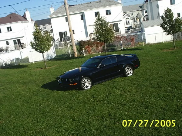 mustangparc10.webp