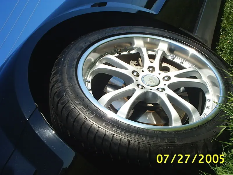 mustangparc11.webp