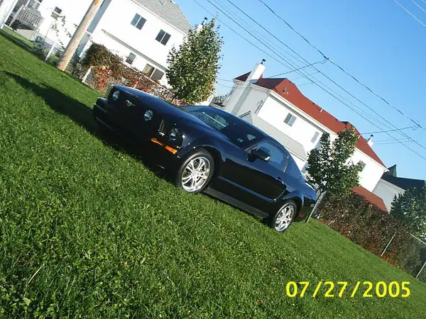 mustangparc2.webp