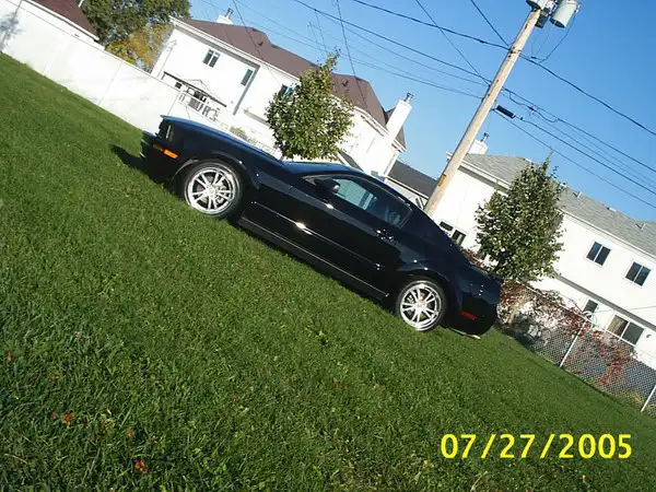 mustangparc3.webp
