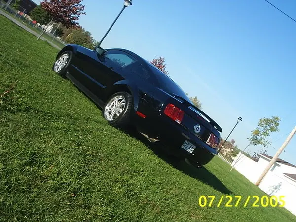 mustangparc4.webp