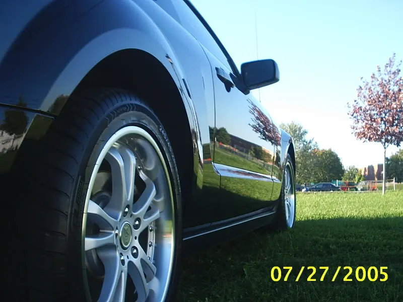 mustangparc6.webp