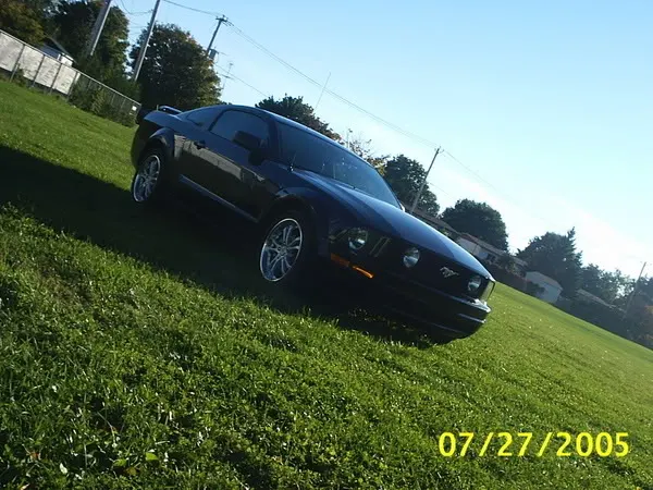 mustangparc7.webp