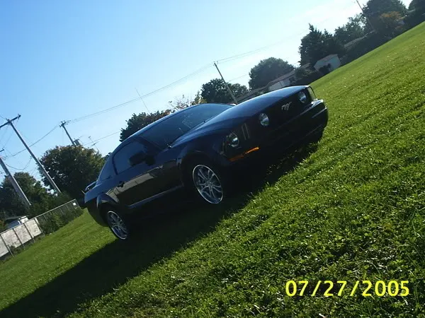 mustangparc8.webp
