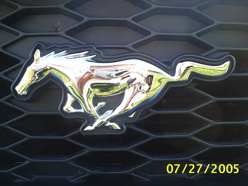 mustangparc9.webp
