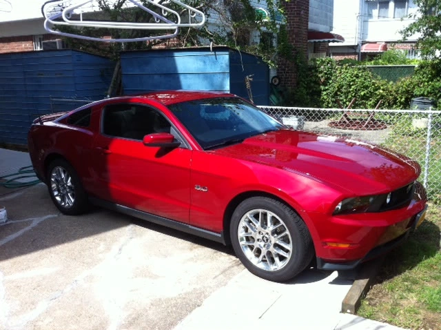 mustangpic3.webp