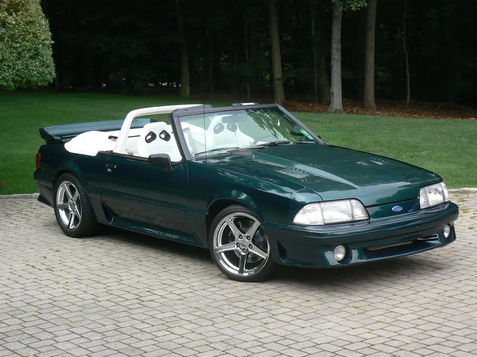 Mustangpics001.webp