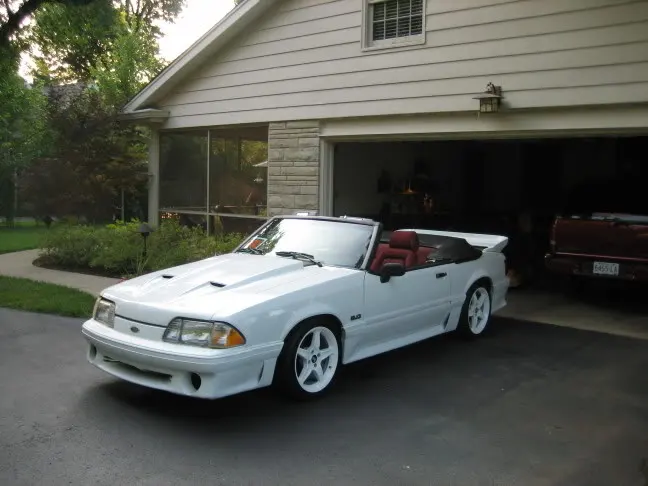 mustangpics001.webp