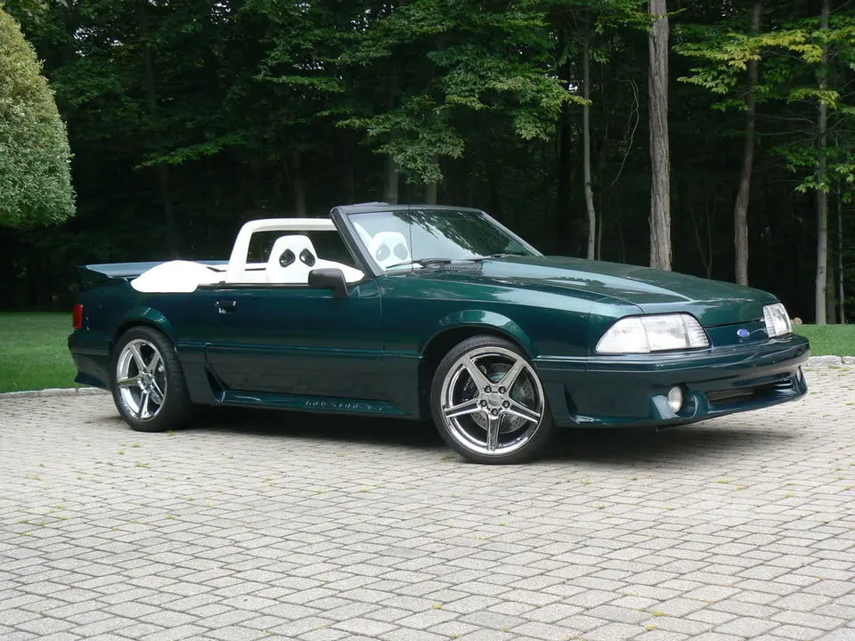 Mustangpics002.webp