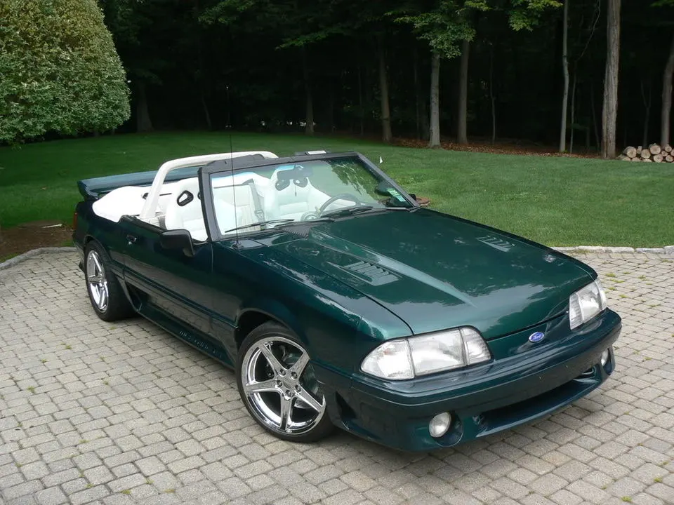 Mustangpics004.webp