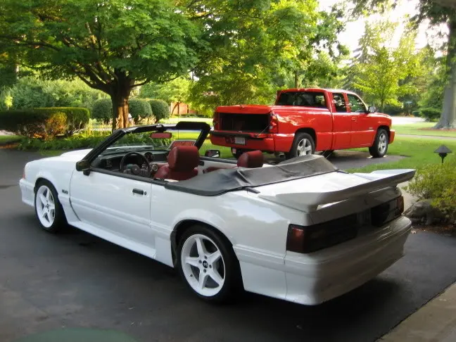 mustangpics004.webp