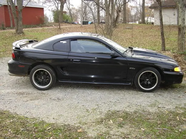 mustangpics004.webp