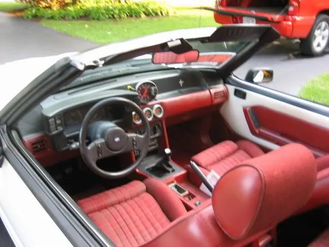 mustangpics005.webp