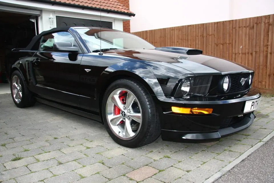 Mustangpics008.webp