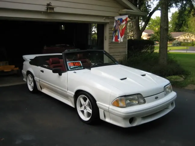 mustangpics008.webp