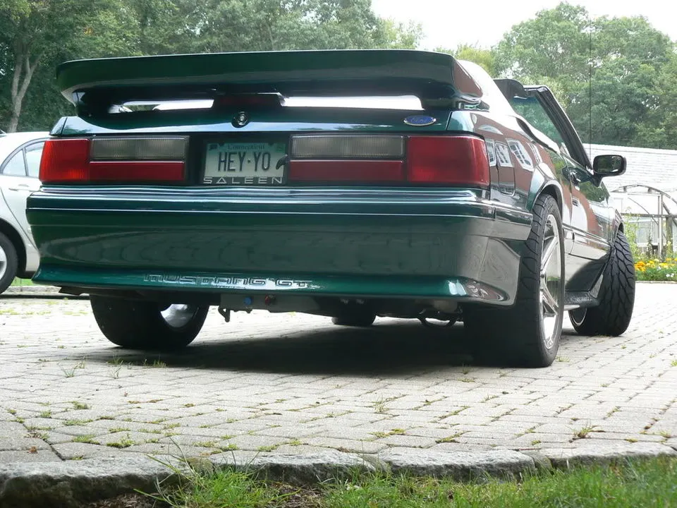 Mustangpics020.webp