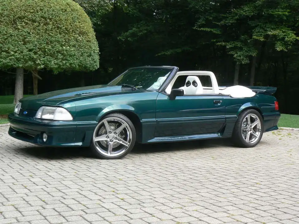 Mustangpics022.webp