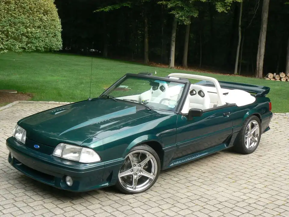 Mustangpics024.webp
