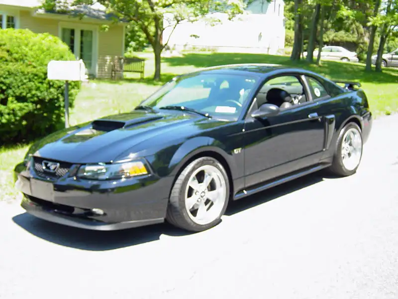 mustangpictures002-1.webp
