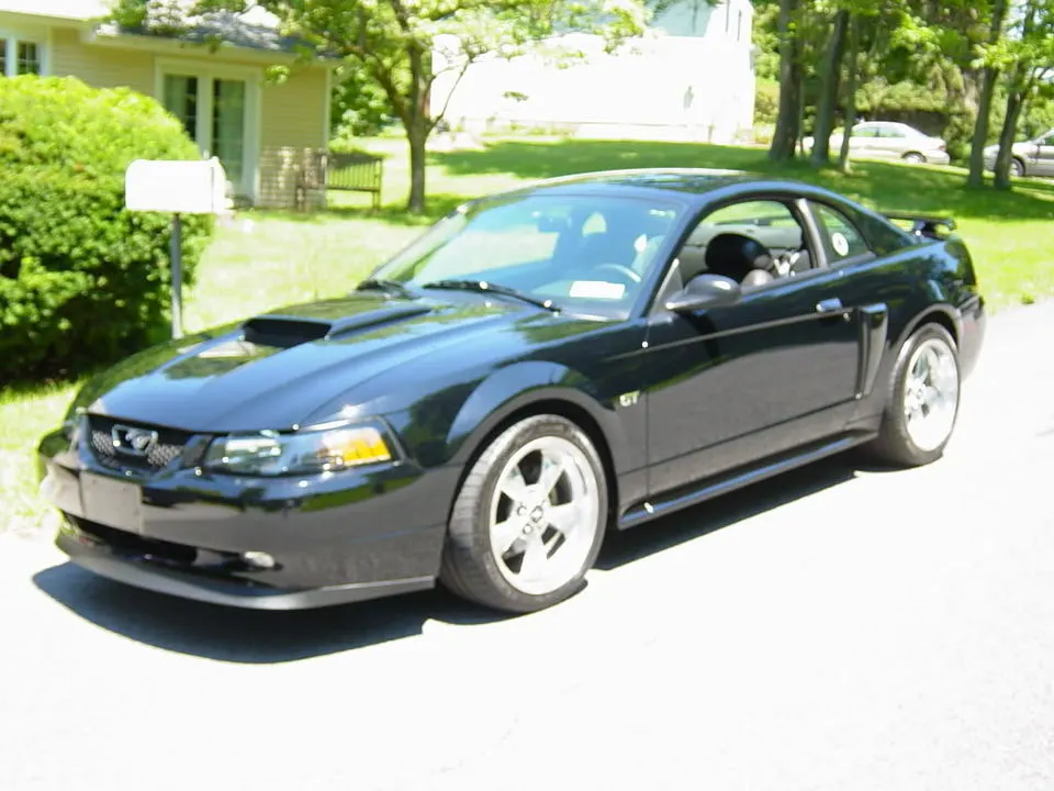 mustangpictures002.webp