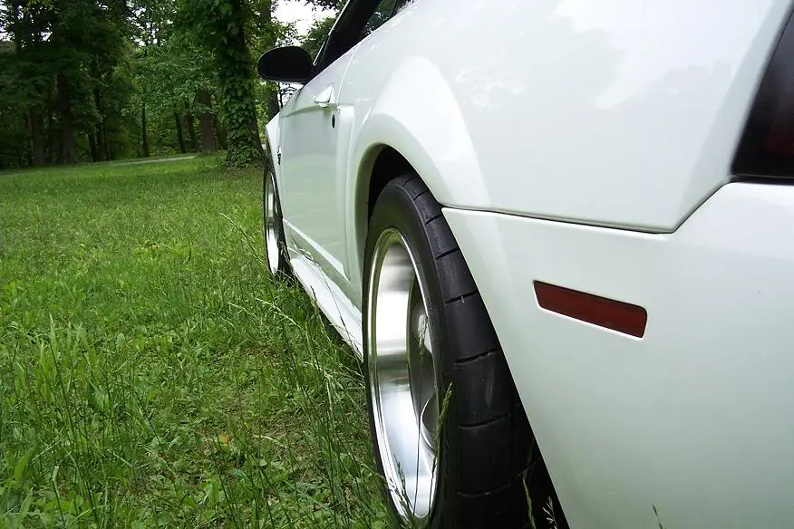 MustangPictures005.webp