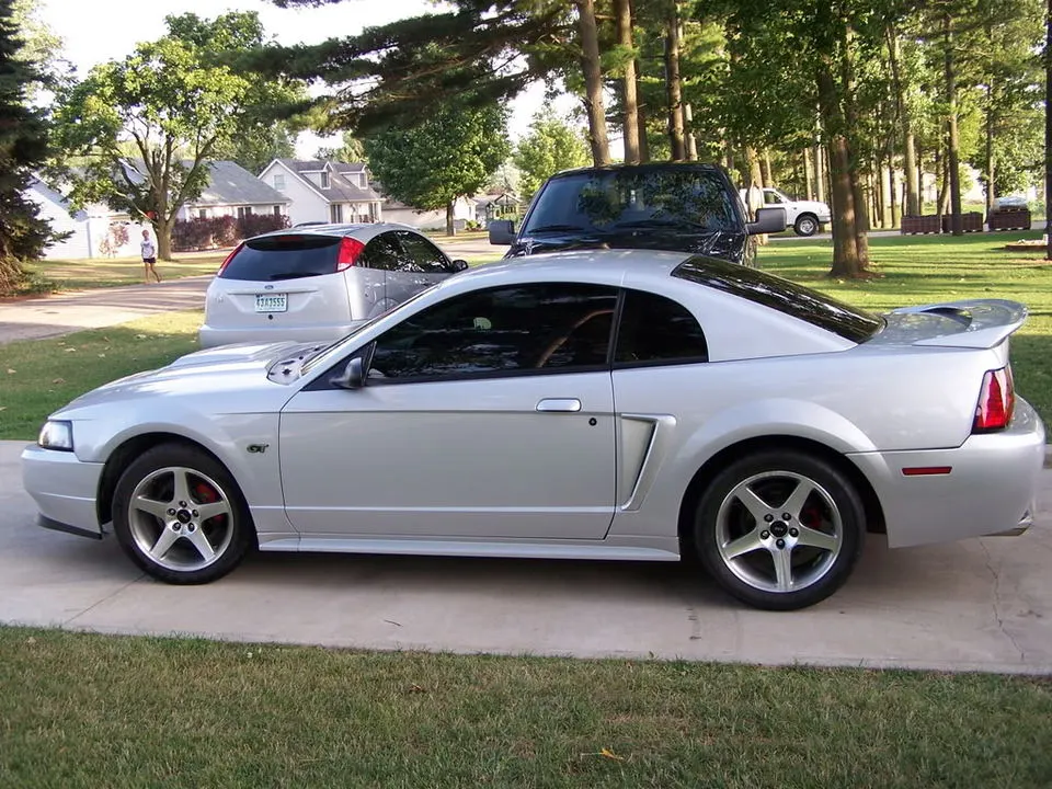 mustangpictures157.webp