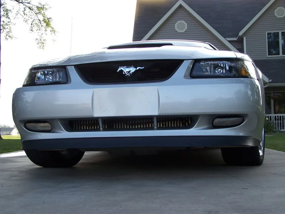 mustangpictures160.webp