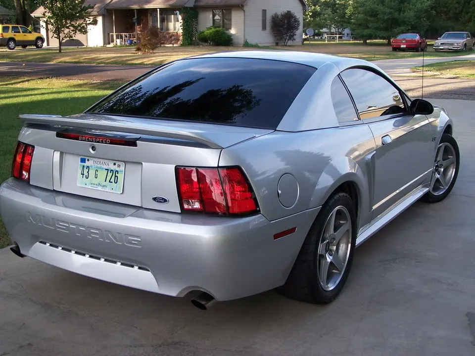 mustangpictures162.webp