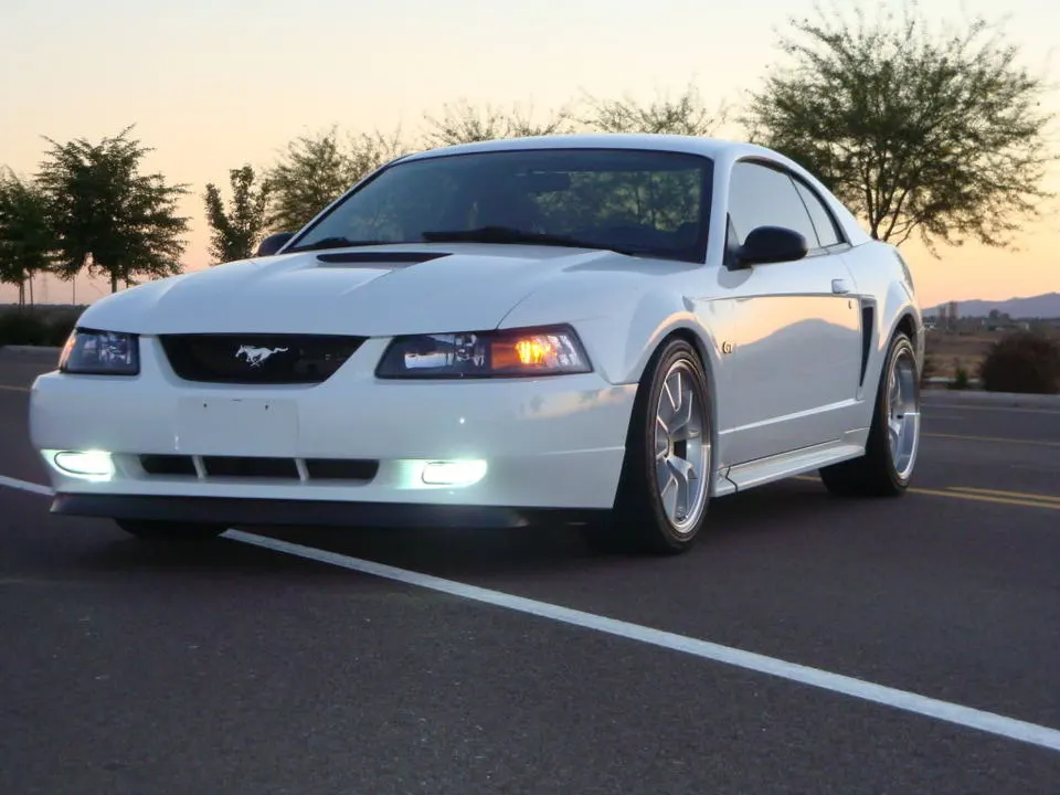 MustangPictures2011001.webp