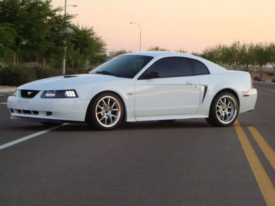 MustangPictures2011003.webp