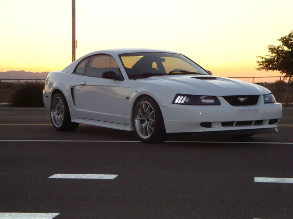 MustangPictures2011004.webp