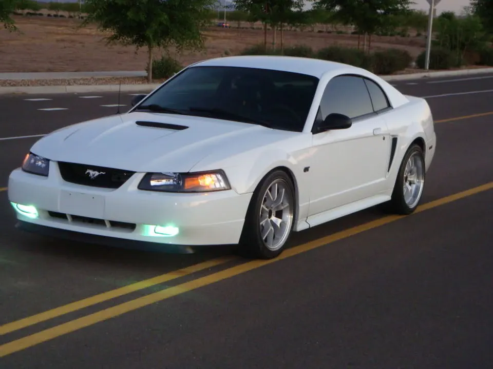 MustangPictures2011006.webp
