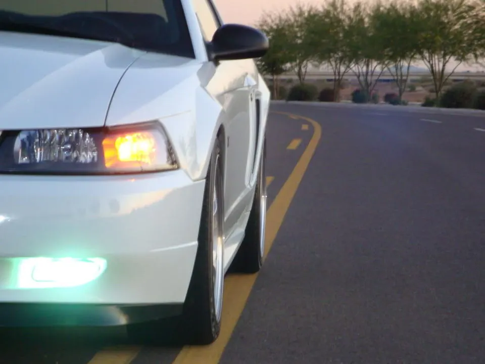 MustangPictures2011007.webp