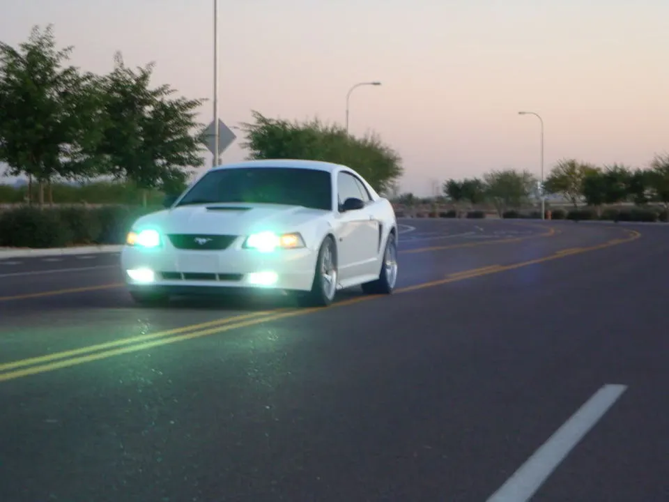 MustangPictures2011008.webp