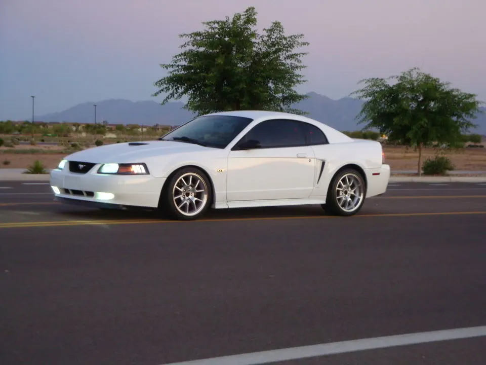 MustangPictures2011009.webp