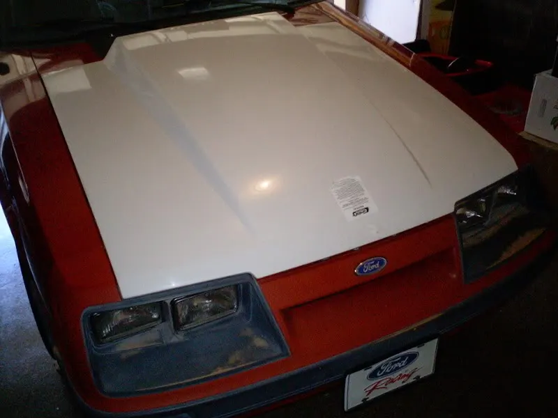 MustangProgressPics003.webp