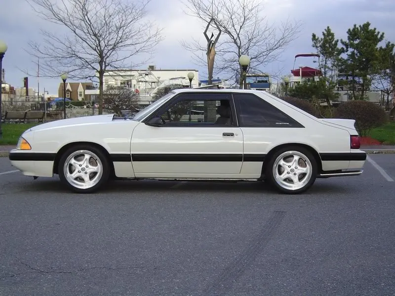 mustangrohz.webp
