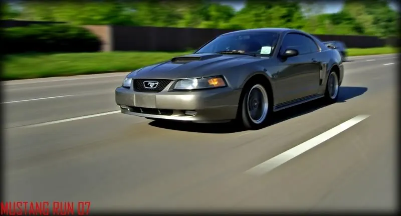 MustangRunEdited.webp